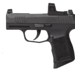 SIG SAUER P365 380ACP Semi-Automatic Pistol with 10+1 capacity and night sights